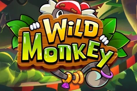 Wild Monkey